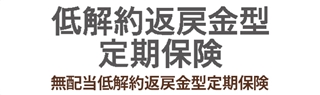 企業・法人保険 - 低解約返戻金型定期保険